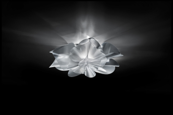 Slamp designová stropní svítidla Etoile Ceiling