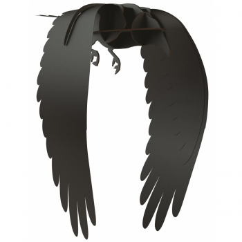 Designové dekorace Ravens Karl